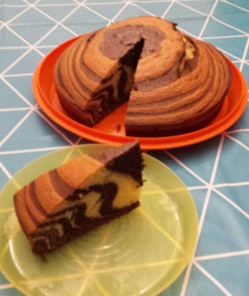 Cliquez pour zoomer ! Gâteau zébré Thermomix par Cilvy