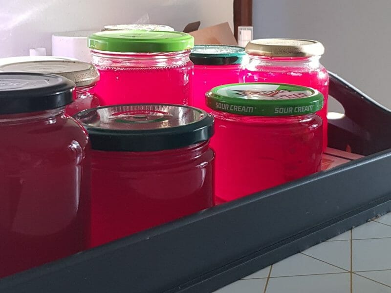 Cliquez pour zoomer ! Gelée de groseilles Thermomix par leskat