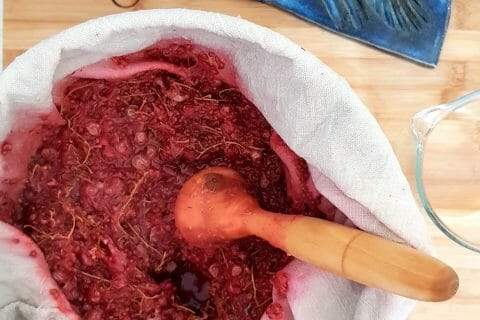 Cliquez pour zoomer ! Gelée de groseilles Thermomix par leskat