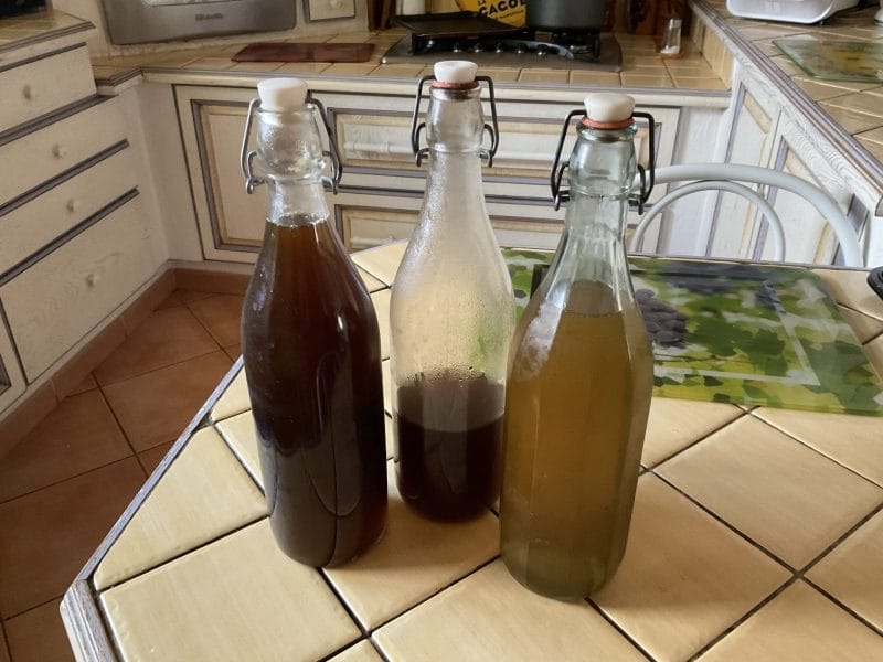 Cliquez pour zoomer ! Sirop de menthe Thermomix par mireille13400