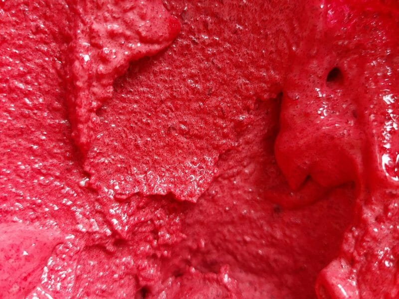 Cliquez pour zoomer ! Sorbet aux mûres Thermomix par malkot