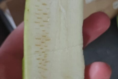 Cliquez pour zoomer ! Photo de claire_686