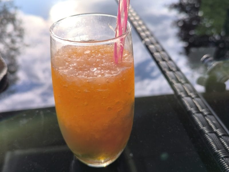 Cliquez pour zoomer ! Granité Aperol Spritz Thermomix par Indofan