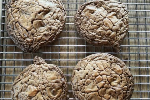 Photos des recettes