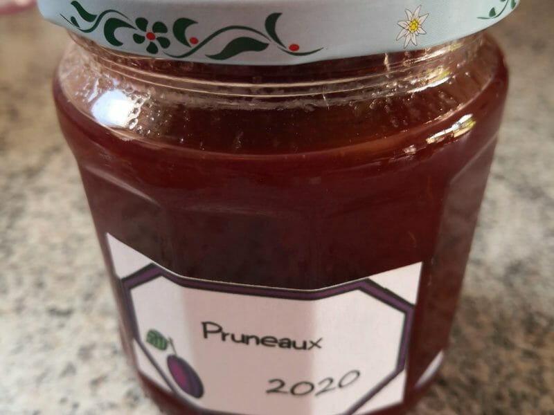 Cliquez pour zoomer ! Confiture de prunes Thermomix par Pigeon