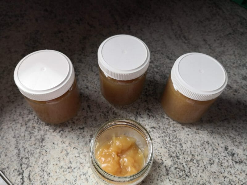 Cliquez pour zoomer ! Compote de pomme Thermomix par Pigeon