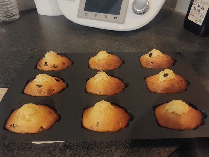Cliquez pour zoomer ! Madeleines Thermomix par rinette69
