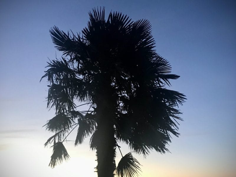 Cliquez pour zoomer ! Photo de anaismix44 Thermomix par anaismix44