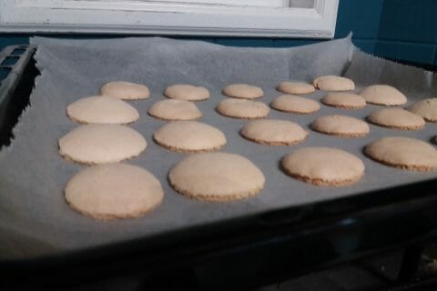 Cliquez pour zoomer ! Macarons Thermomix par cloulotte